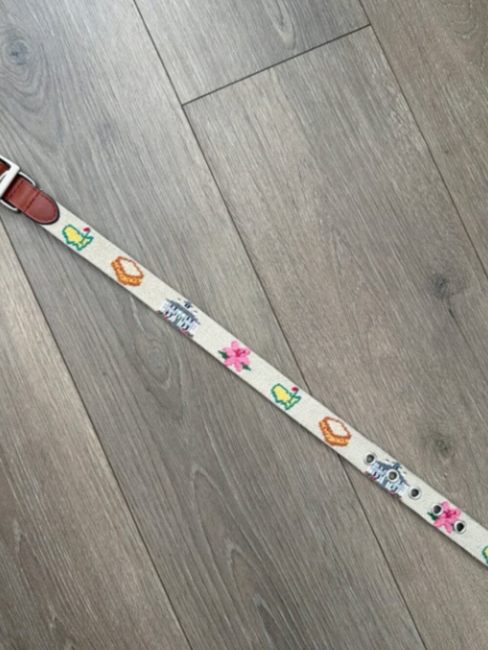 Smathers & Branson 2026 Masters Dog Collar - Size M/L - Unused